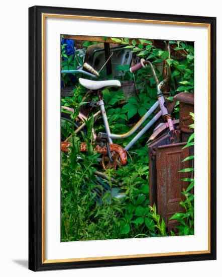 Blogcube-Jim Crotty-Framed Photographic Print