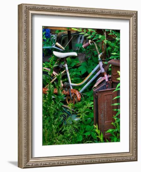 Blogcube-Jim Crotty-Framed Photographic Print