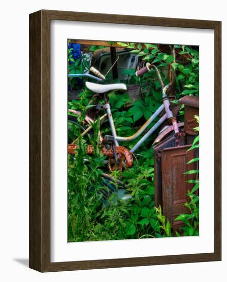 Blogcube-Jim Crotty-Framed Photographic Print