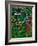 Blogcube-Jim Crotty-Framed Photographic Print