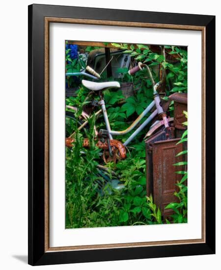 Blogcube-Jim Crotty-Framed Photographic Print