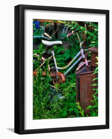 Blogcube-Jim Crotty-Framed Photographic Print