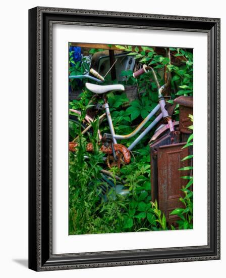 Blogcube-Jim Crotty-Framed Photographic Print