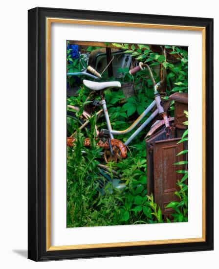 Blogcube-Jim Crotty-Framed Photographic Print