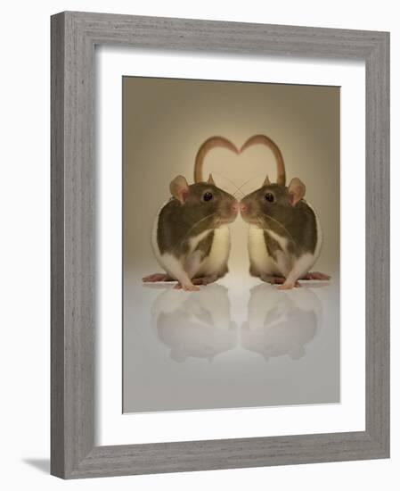 Blogpoint-Lynne Davies-Framed Photographic Print