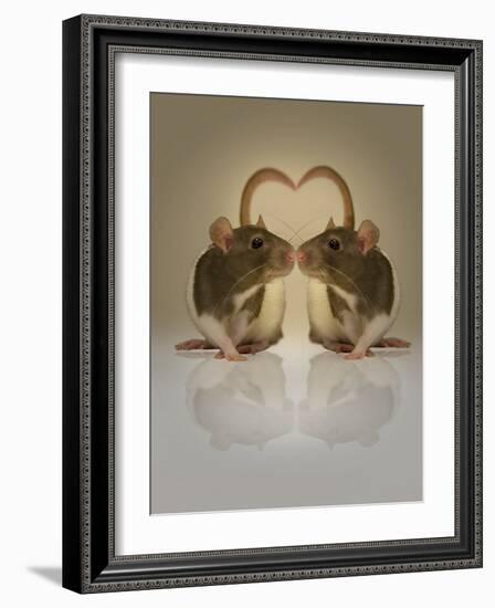 Blogpoint-Lynne Davies-Framed Photographic Print