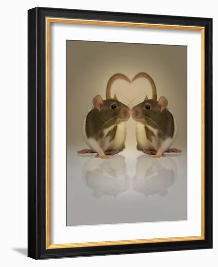 Blogpoint-Lynne Davies-Framed Photographic Print