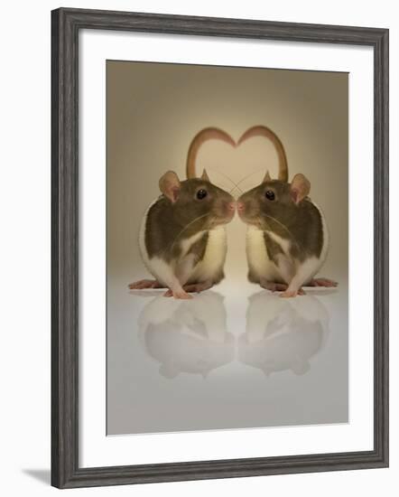 Blogpoint-Lynne Davies-Framed Photographic Print