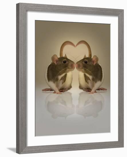 Blogpoint-Lynne Davies-Framed Photographic Print