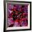 Blood Bags-Kevin Curtis-Framed Premium Photographic Print