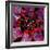 Blood Bags-Kevin Curtis-Framed Premium Photographic Print