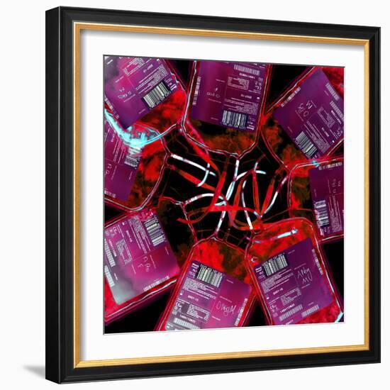 Blood Bags-Kevin Curtis-Framed Premium Photographic Print