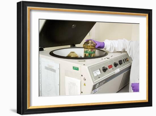 Blood Centrifuge-Paul Rapson-Framed Photographic Print