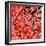 Blood Clot, SEM-Susumu Nishinaga-Framed Premium Photographic Print