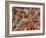 Blood Clot, SEM-Steve Gschmeissner-Framed Photographic Print