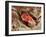 Blood Clot, SEM-Science Photo Library-Framed Photographic Print