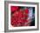 Blood Clot-Roger Harris-Framed Photographic Print