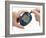 Blood Glucose Meter-Mark Sykes-Framed Photographic Print