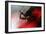 Blood Like Lemonade-Paulo Abrantes-Framed Giclee Print