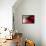 Blood Like Lemonade-Paulo Abrantes-Framed Premier Image Canvas displayed on a wall