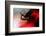 Blood Like Lemonade-Paulo Abrantes-Framed Photographic Print