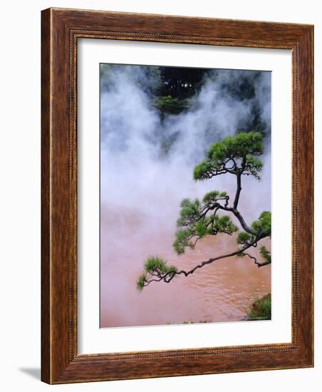 Blood Pond Hell (Chinoike Jigoku), Natural Hot Springs (Onsen), Beppu, Kyushu, Japan-Steve Bavister-Framed Photographic Print