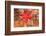 Blood Sea Star, Saint Lazerius Island, Sitka, Alaska, USA-Stuart Westmorland-Framed Photographic Print