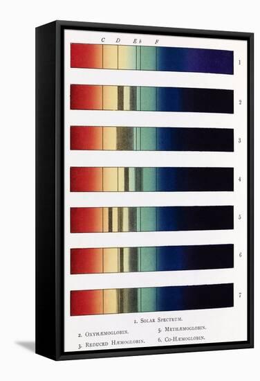 Blood Spectra, 19th Century Artwork-Middle Temple Library-Framed Premier Image Canvas