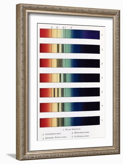 Blood Spectra, 19th Century Artwork-Middle Temple Library-Framed Photographic Print