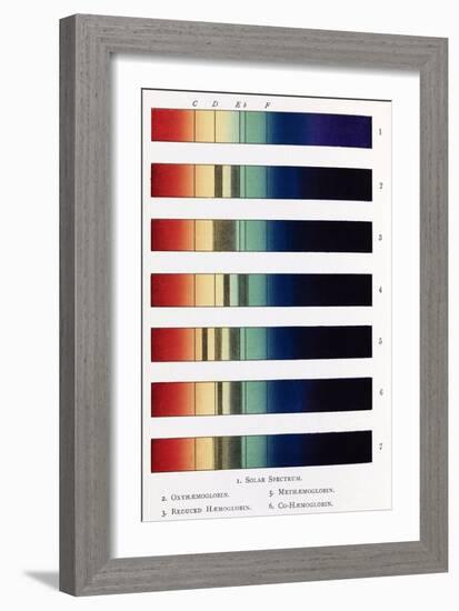 Blood Spectra, 19th Century Artwork-Middle Temple Library-Framed Photographic Print