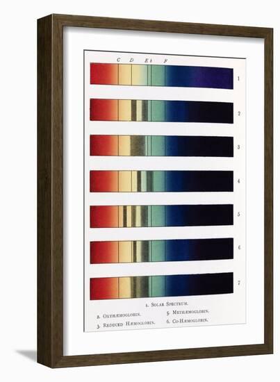 Blood Spectra, 19th Century Artwork-Middle Temple Library-Framed Photographic Print