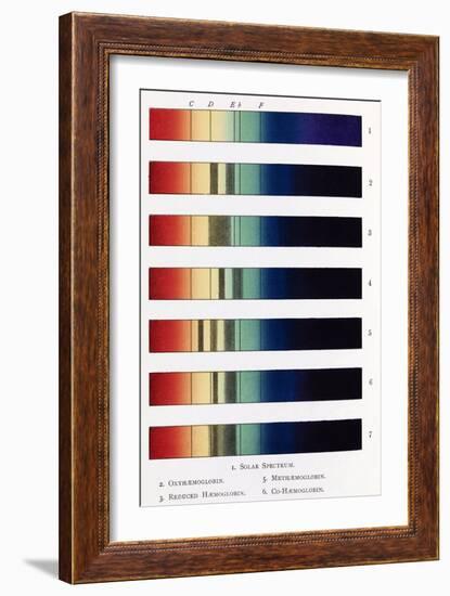 Blood Spectra, 19th Century Artwork-Middle Temple Library-Framed Photographic Print