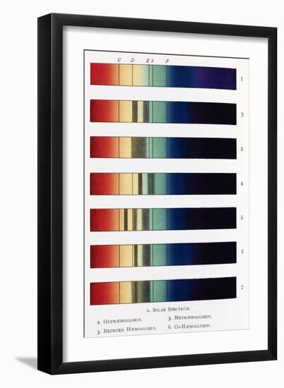 Blood Spectra, 19th Century Artwork-Middle Temple Library-Framed Photographic Print