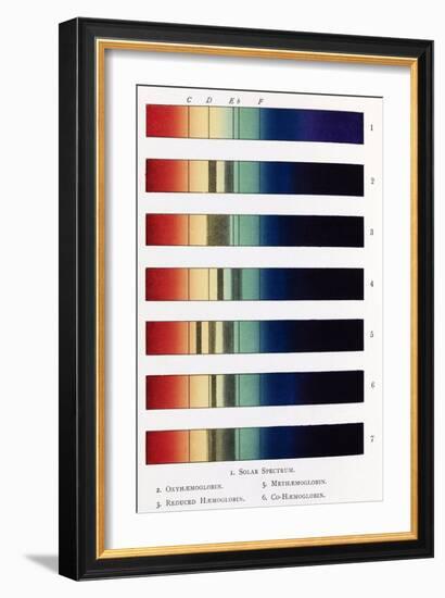 Blood Spectra, 19th Century Artwork-Middle Temple Library-Framed Photographic Print