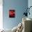 Blood Stream, Artwork-SCIEPRO-Mounted Photographic Print displayed on a wall