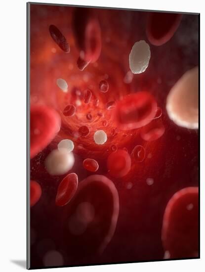 Blood Stream, Artwork-SCIEPRO-Mounted Photographic Print