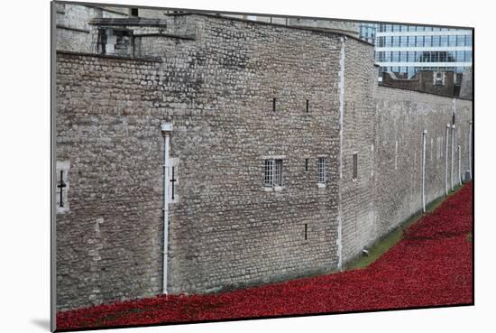 Blood Swept Lands and Seas of Red, Tower of London, 2014-Sheldon Marshall-Mounted Photographic Print