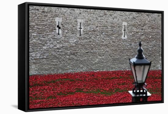 'Blood Swept Lands and Seas of Red', Tower of London, 2014-Sheldon Marshall-Framed Stretched Canvas