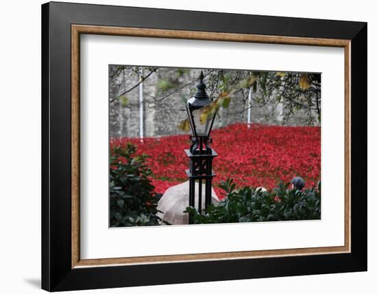 'Blood Swept Lands and Seas of Red', Tower of London, 2014-Sheldon Marshall-Framed Photographic Print