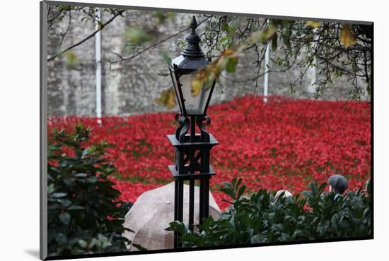 'Blood Swept Lands and Seas of Red', Tower of London, 2014-Sheldon Marshall-Mounted Photographic Print