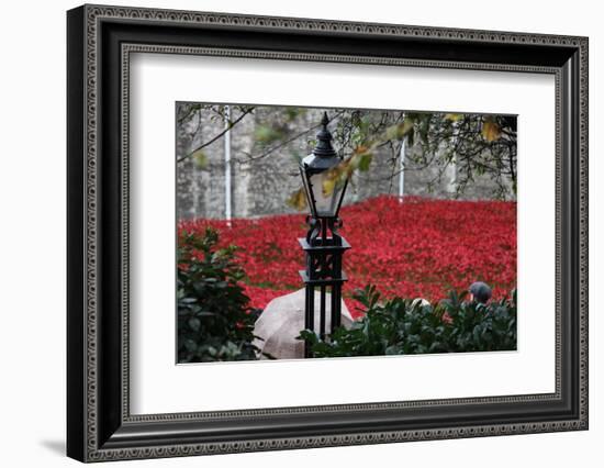 'Blood Swept Lands and Seas of Red', Tower of London, 2014-Sheldon Marshall-Framed Photographic Print