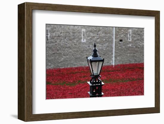 'Blood Swept Lands and Seas of Red', Tower of London, 2014-Sheldon Marshall-Framed Photographic Print