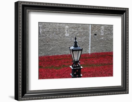 'Blood Swept Lands and Seas of Red', Tower of London, 2014-Sheldon Marshall-Framed Photographic Print