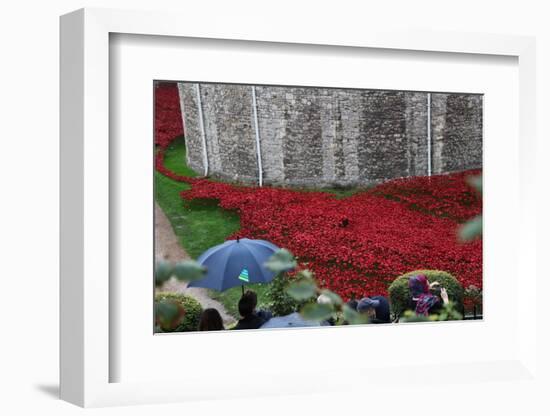 'Blood Swept Lands and Seas of Red', Tower of London, 2014-Sheldon Marshall-Framed Photographic Print