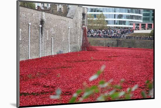 'Blood Swept Lands and Seas of Red', Tower of London, 2014-Sheldon Marshall-Mounted Photographic Print