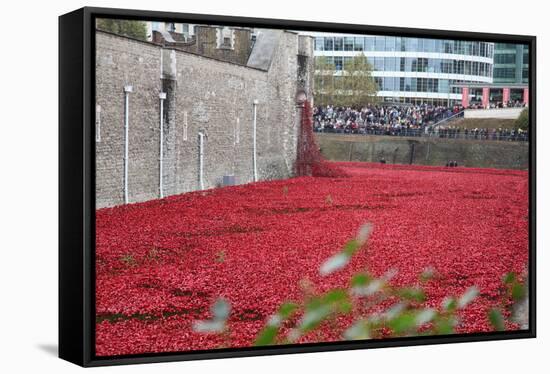 'Blood Swept Lands and Seas of Red', Tower of London, 2014-Sheldon Marshall-Framed Stretched Canvas