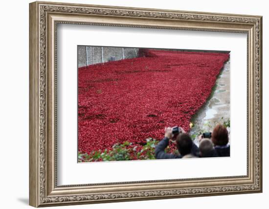 'Blood Swept Lands and Seas of Red', Tower of London, 2014-Sheldon Marshall-Framed Photographic Print