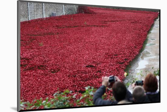 'Blood Swept Lands and Seas of Red', Tower of London, 2014-Sheldon Marshall-Mounted Photographic Print