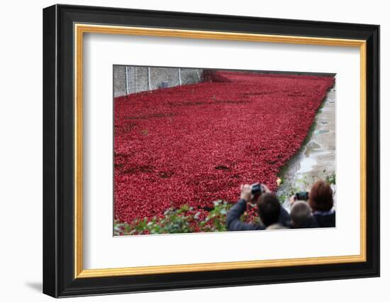 'Blood Swept Lands and Seas of Red', Tower of London, 2014-Sheldon Marshall-Framed Photographic Print