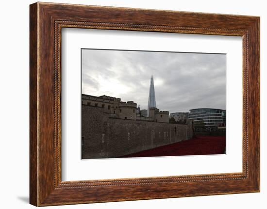 'Blood Swept Lands and Seas of Red', Tower of London, 2014-Sheldon Marshall-Framed Photographic Print